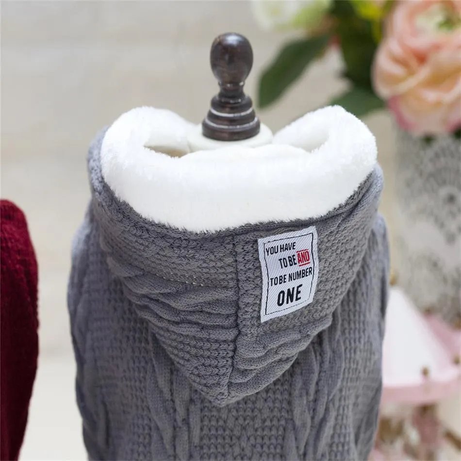 Warm Dog's Sweater